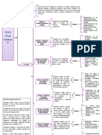 Mapa Ciclo Vital Familiar