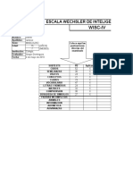 Corrector Wisc Iv Completo