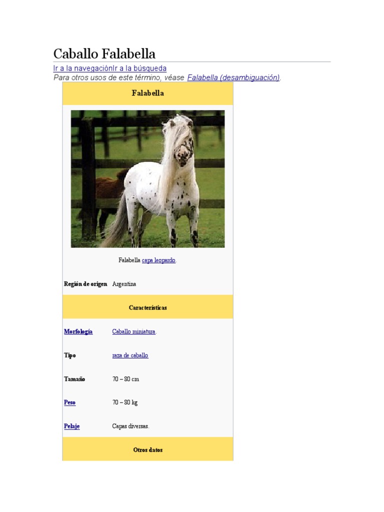 Caballo Falabella Poni Caballos