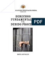 5_Debido_Proceso.pdf