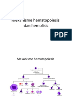 Mekanisme Hematopoiesis
