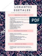 Colorantes Naturales PDF