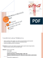 patologia colului.pptx