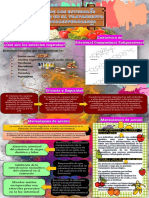 Bioquimica Infografia