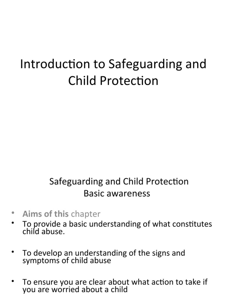Understanding Child Protection Basics | PDF | Child Protection | Child ...