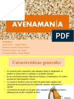 AVENAMANÍA-ppt