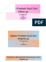 Bakteri Praktek Hasil Dari Vibrio SP