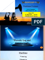 Porosity and Gamma Ray Log