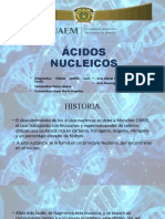 Ácidos-nucleicos-2 (1).pptx.pptx
