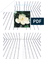 05-divisi-magnoliophyta-01-130222191445-phpapp02-dikonversi