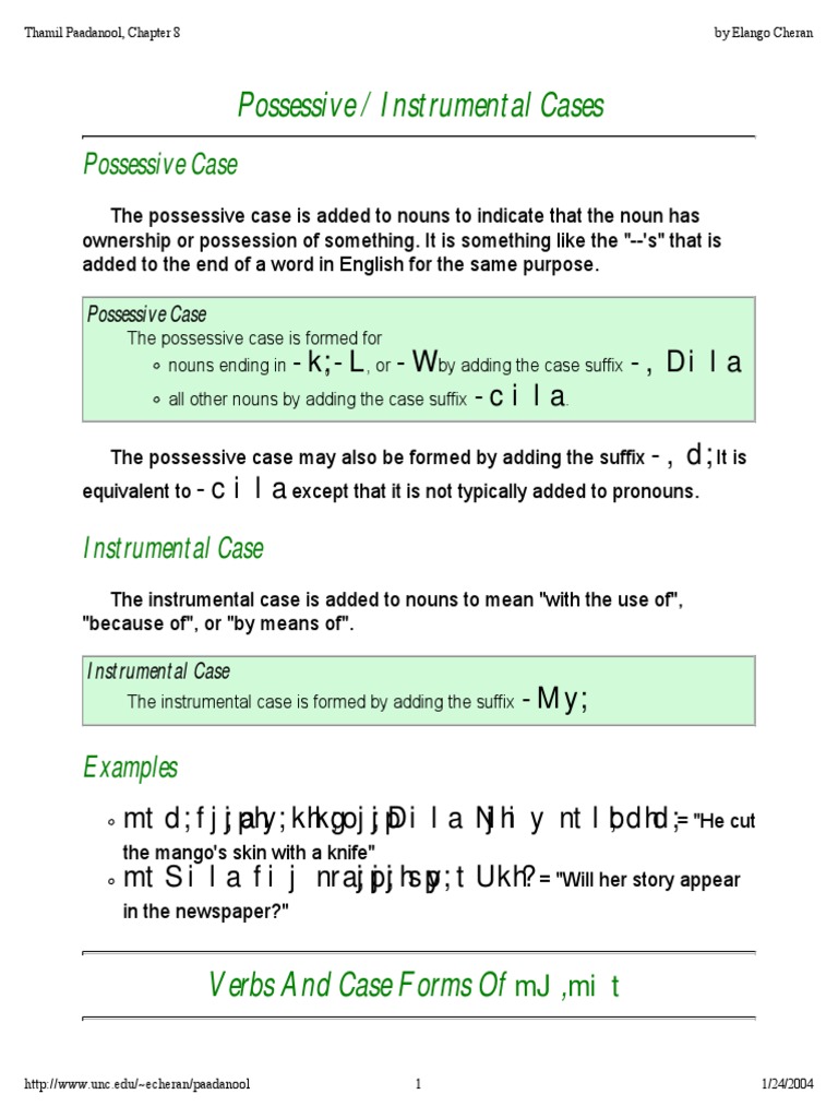 Possessive / Instrumental Cases PDF Grammatical Tense Verb