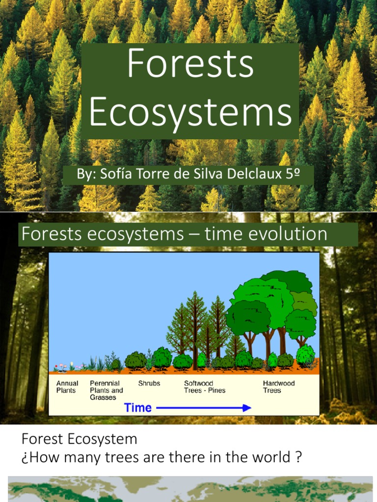 Forest Ecosystems: Past, Present, Future | PDF