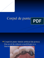 C8 EPR - Corp de punte ovate.ppt