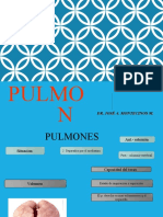 PULMON 