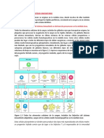 Los Componentes Del Sistema Inmunitario