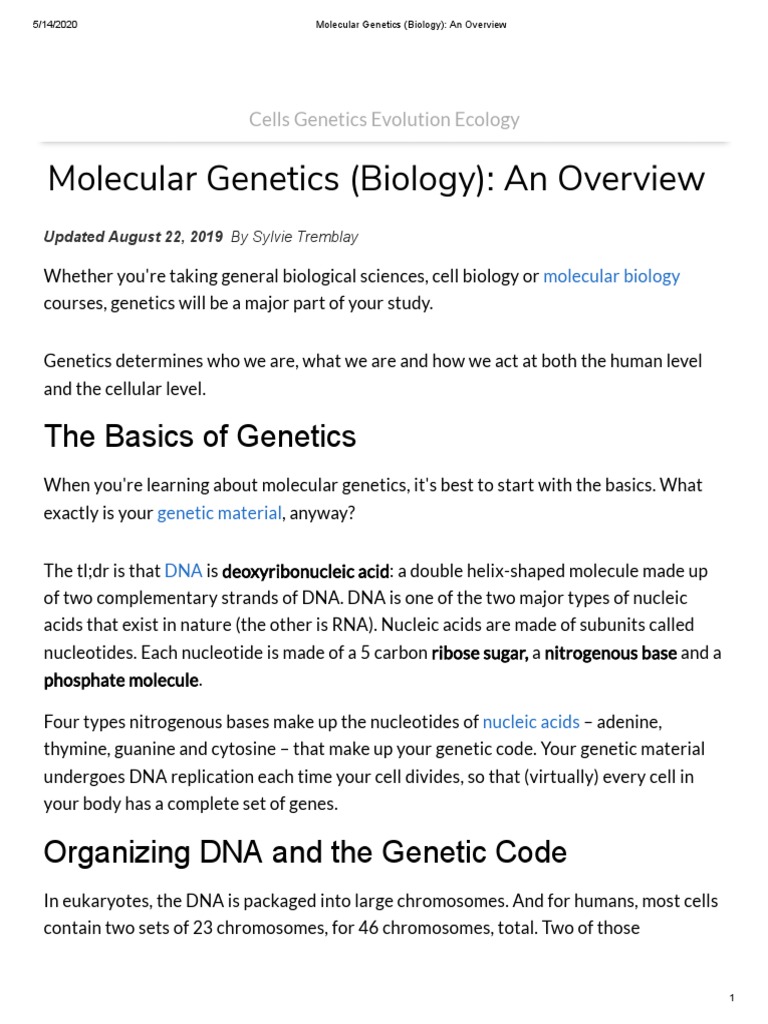 Molecular Genetics (Biology) - An Overview | PDF | Nucleic Acids | Rna