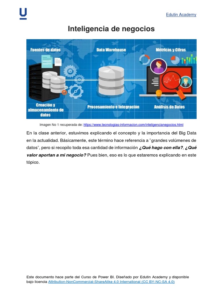 Inteligencia Negocios | PDF | Inteligencia | Big Data