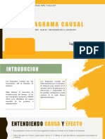 Diagrama Causal