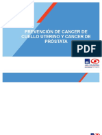 Cancer Cuello Uterino y Cancer de Próstata