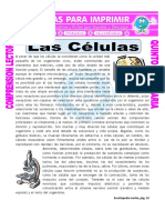 Lec. Celulas 5.