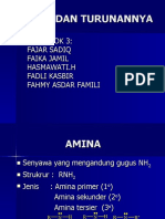 ppt amina dan turunannya