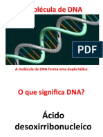 A molécula de DNA