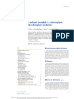 Anatomie Descriptive, Endoscopique Et Radiologique Du Larynx