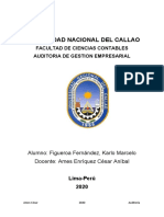 Ae 13 Dictamen de Los Auditores Independientes Figueroa F. Karlo