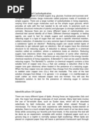 Download Identification of Carbohydrates by Christine Pearl Po SN46462544 doc pdf