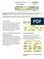 Guia de Respiración Corrección 2