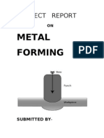 Project Report: Metal Forming