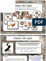 Chicken Life Cycle: TOT LABS by Welcome To Mommyhood