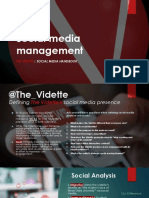 The Vidette Social Media Strategy