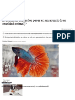 ¿Pueden ser felices los peces en un acuario (o es crueldad animal)_.pdf