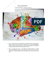 ÁREAS DE BRODMANN.docx