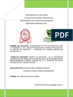 Plan de Negocios Arroz Precocido Terminado PDF