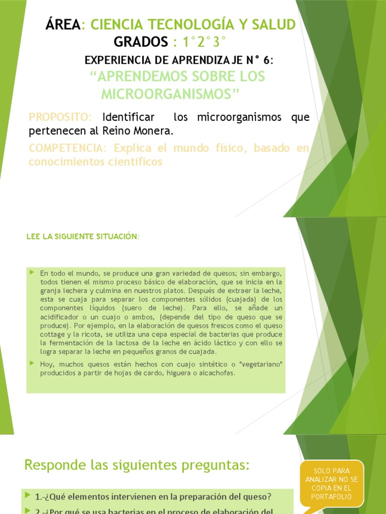 Microorganismos y Quesos: Reino Monera | PDF | Queso | Las bacterias