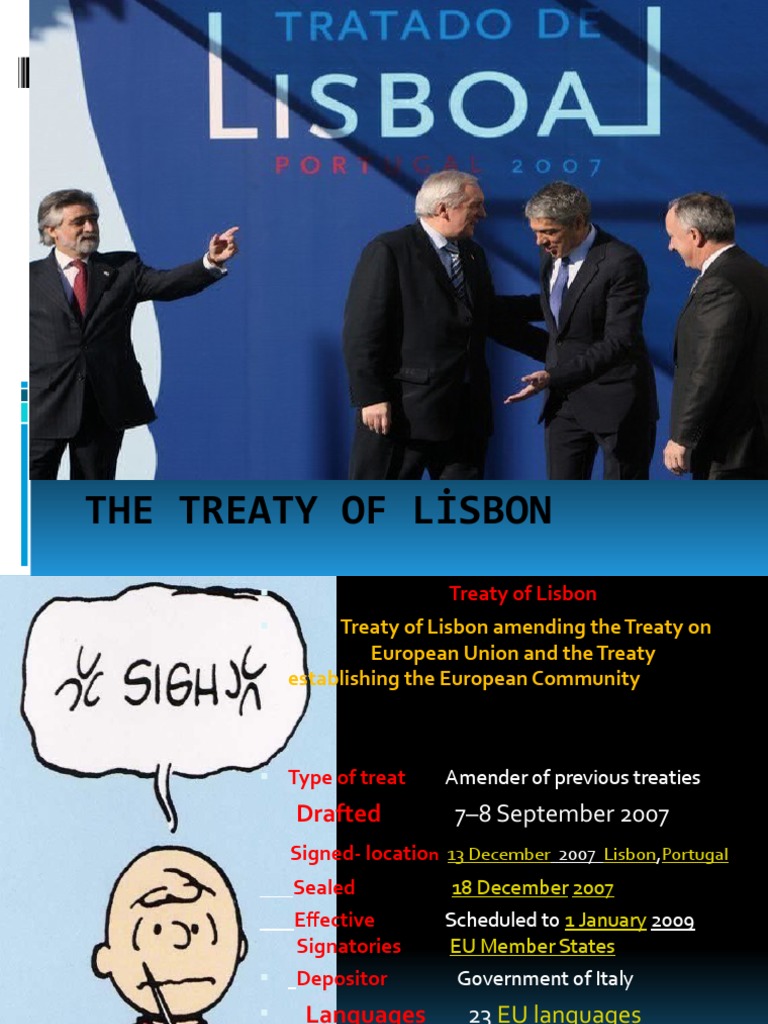 Overview of the Treaty of Lisbon | PDF | European Union | European ...