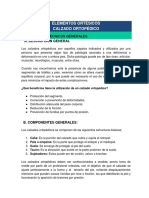 Ficha Descriptiva de Calzado Ortopédico