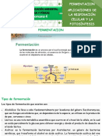 FERMENTACION Semana 4 Octavo Texto PDF