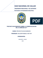 Trabajo Final Proyectos de Inversión