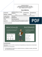 Guía Didáctica Racionalización