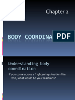Body Coordination