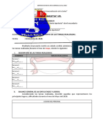 Informe Trabajo Mayo Modelo