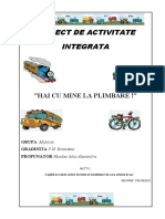 Proiect de Activitate Integrata