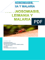 Epidemiologia Malaria