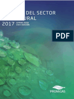 Informe del Sector Gas Natural Colombia 2017 este si.pdf