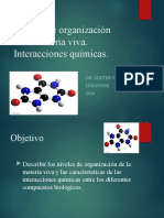 Niveles-De-Organización de La Materia e Interacciones Quimicas