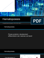 SP 1 Hematopoiesis