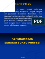 KEPERAWATAN SBG Profesi